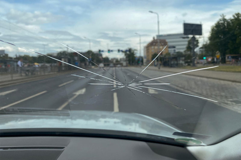 Windshield